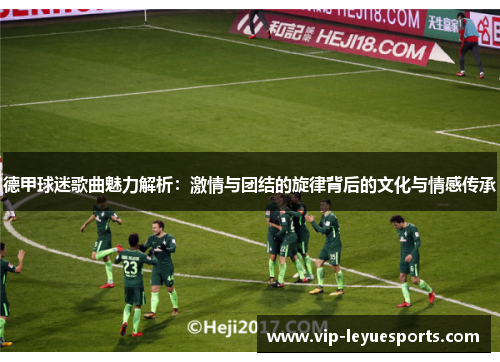 德甲球迷歌曲魅力解析：激情与团结的旋律背后的文化与情感传承