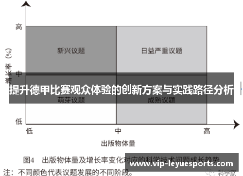 提升德甲比赛观众体验的创新方案与实践路径分析
