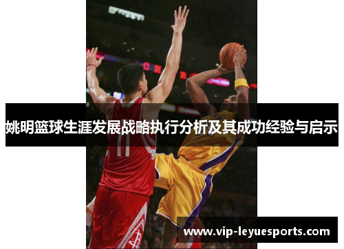 姚明篮球生涯发展战略执行分析及其成功经验与启示