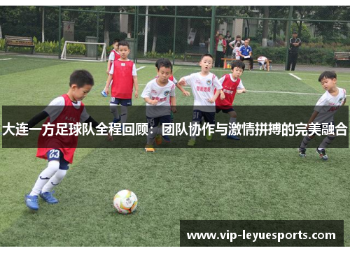 大连一方足球队全程回顾：团队协作与激情拼搏的完美融合