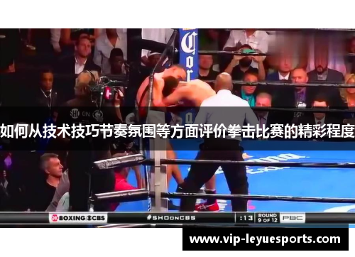 如何从技术技巧节奏氛围等方面评价拳击比赛的精彩程度