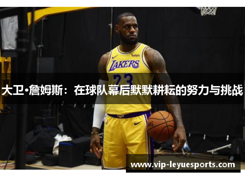 大卫·詹姆斯：在球队幕后默默耕耘的努力与挑战