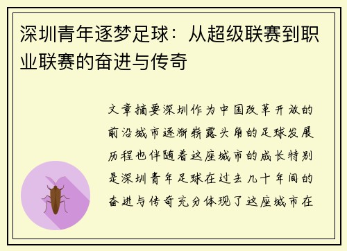 深圳青年逐梦足球：从超级联赛到职业联赛的奋进与传奇