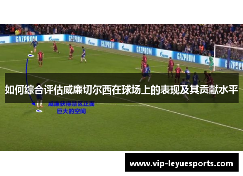 如何综合评估威廉切尔西在球场上的表现及其贡献水平