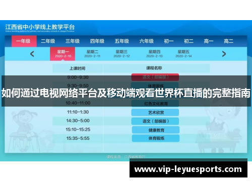 如何通过电视网络平台及移动端观看世界杯直播的完整指南