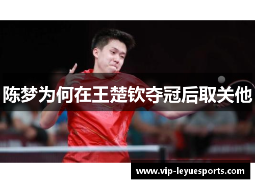 陈梦为何在王楚钦夺冠后取关他