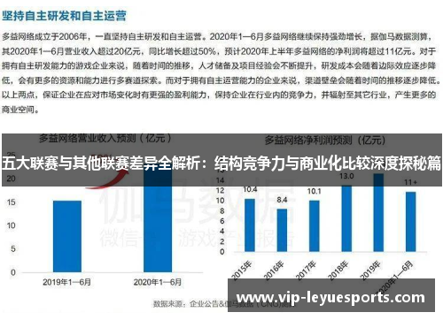 五大联赛与其他联赛差异全解析：结构竞争力与商业化比较深度探秘篇