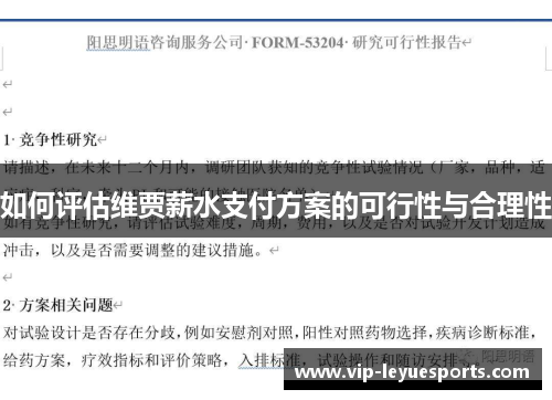 如何评估维贾薪水支付方案的可行性与合理性